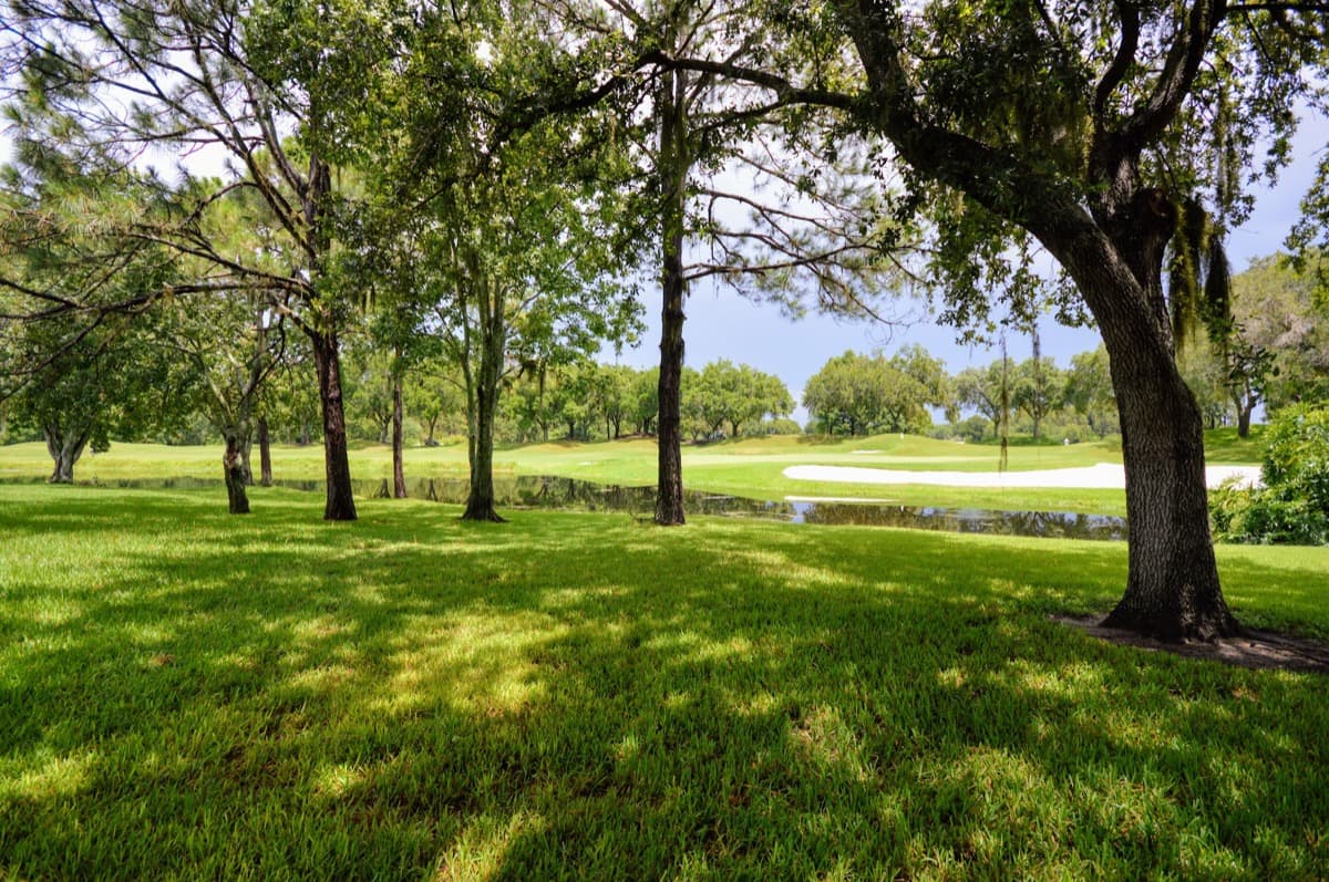 Cheval golf course with sand traps, pond, and oak trees in Lutz FL 33558 real estate market 2026 near Tampa